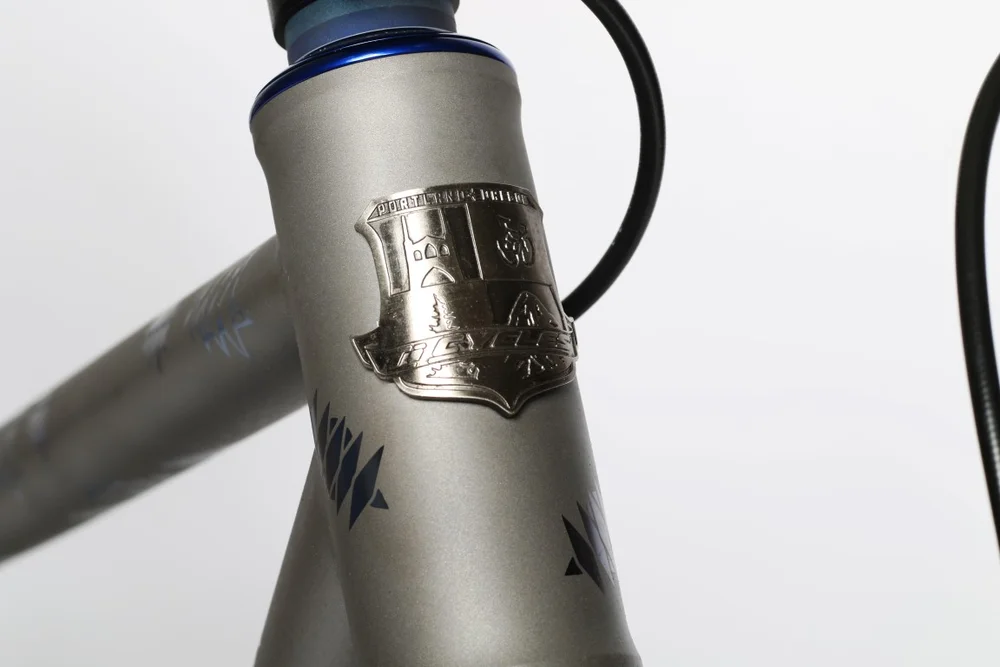 HYENA XL Titanium Fastback SS MTB — TI CYCLES FABRICATION